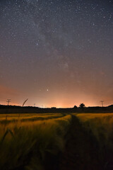 night sky over a barley field with light pollution over the horizon - landscape with milky way