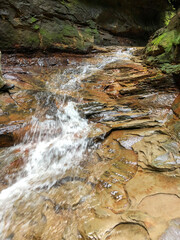 waterfall in the forest