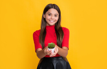 child smile with cactus in pot on yellow background