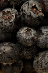Blueberries (detail)
