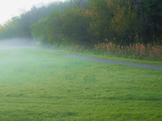 Scene in a park with fog over the grass and narrow foot path. Dark and moody atmosphere. Nobody. Nature landscape.