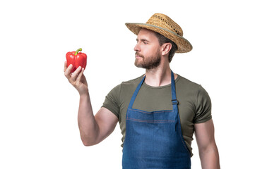 man in apron and hat with capsicum vegetable isolated on white