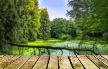 Wooden table top on blur green forest and lake or swamp.Fresh and Relax concept.For montage product display or design key visual layout.View of copy space.