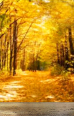 Wooden table top on blur red maple leaves forest.Fresh and Relax concept.For montage product display or design key visual layout.View of copy space.