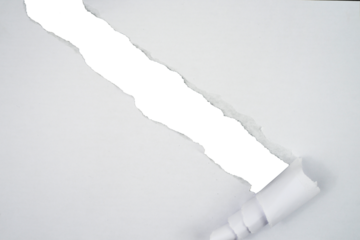 Torn paper with the curled ripped sides. Realistic torn paper with the ripped edges for copy space and text.