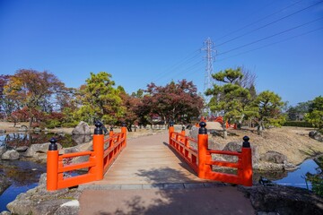 青空バックに見る秋の庭園と朱色の橋のコラボ情景＠福井