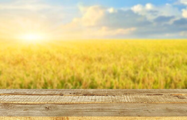 Wooden table top on blur rice field background in evening.Harvest rice or whole wheat.For montage...