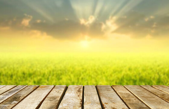 Backdrop Rice Tabletop Rice Field Backdrop Images – Browse 390 Stock Photos, Vectors ...