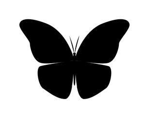 Butterfly silhouette icon. Poster or banner for website, aesthetics and elegance. Creativity and art. Graphic element for printing on fabric. Nature and fauna. Cartoon flat vector illustration