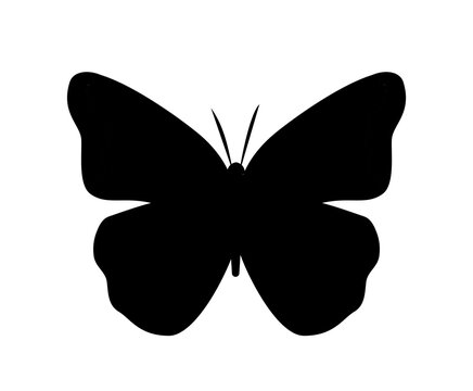 Butterfly silhouette icon. Black winged insect, symbol of spring and summer seasons. Aesthetics and elegance. Romance, love and tenderness. Fauna and wildlife. Cartoon flat vector illustration