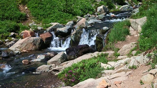 Edith Creek flowing through a valley on the side of Mt Rainier, Paradise area at Mt. Rainier national park, WA
