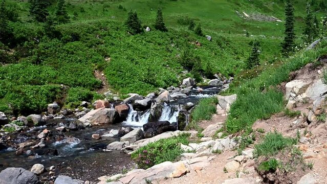 Edith Creek flowing through a valley on the side of Mt Rainier, Paradise area at Mt. Rainier national park, WA
