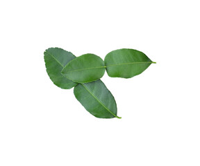 Fototapeta premium Bergamot fruit isolated on transparene png