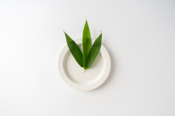 Plate and green leaves on white background