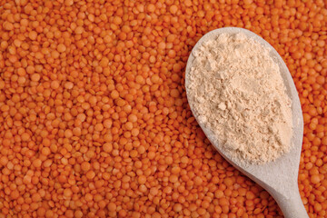 Spoon of lentil flour on seeds, closeup
