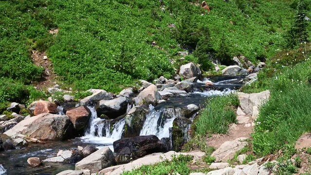 Edith Creek flowing through a valley on the side of Mt Rainier, Paradise area at Mt. Rainier national park, WA
