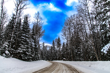A Wide Winter Road