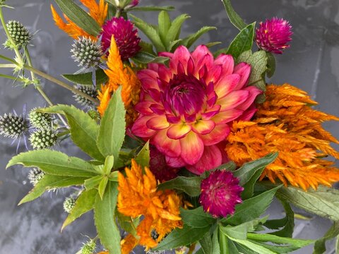 Dahlia and celosia fresh flower bouquet