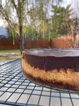 Pumpkin cheesecake with dark chocolate glaze cooked in springform pan
