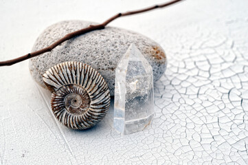 Elemental Still Life Photography. Spiral fossil crystal point and twig on a stone.  © Elena Ray