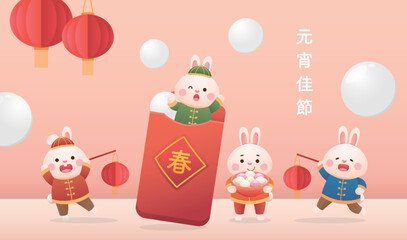 Cute Rabbit character or mascot, Lantern Festival or Winter Solstice with Tangyuan, Asian glutinous rice sweets and lanterns, Chinese translation: Lantern Festival