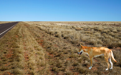 Road to the Barkly Highway NT