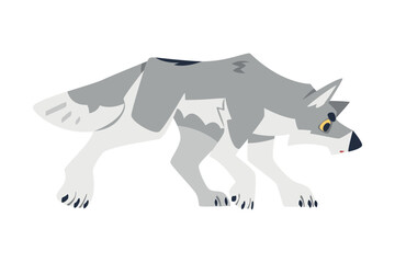 Standing Gray Wolf as Wild Hunting Animal Vector Illustration