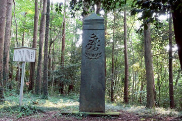 森の中の”延慶の板碑