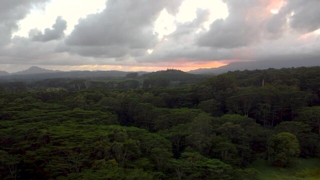 Cinematic aerial flyover revealing lush green rainforest, rivers, mountains and streams during sunset with yellow clouds. Epic cinematic nature aerial view of rainforest Tropical jungle of Kauai.