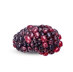 Fresh Blackberry isolated on transparent background (.PNG)
