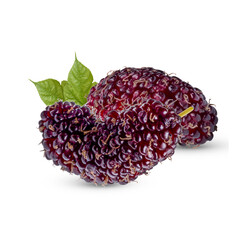Fresh mulberry with leaves isolated on transparent background (.PNG)