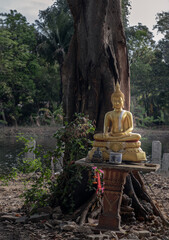Golden Buddha statue in meditative posture under Big tree background. Space for text, Selective focus.