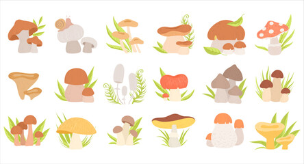 Mushrooms with Green Leaves Growing in Woodland as Seasonal Botany Vector Set