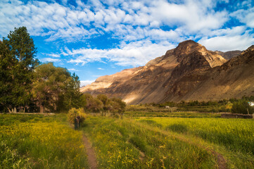 The landscape of the mountains. A scenic view of the green fields and ancient monastery in the Himalayan village of Tabo in the Spiti Valley in Himachal Pradesh, India.