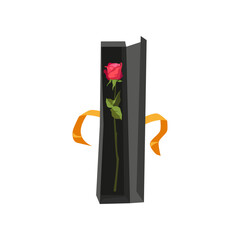 Red rose in gift box cartoon illustration. Gorgeous flower wrapped in beautiful black package. Flower delivery, transportation, service concept