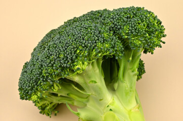 View broccoli stems on light background