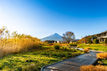 山梨県の河口湖にある大石公園の散歩道と富士山