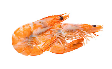 Cooked shrimps isolated on transparent png