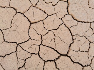 Dry cracked earth