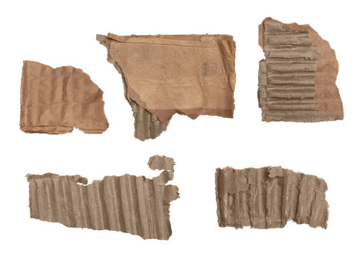 Cardboard Pieces Set Of Five Different Assets Png Isolated On Transparent Background