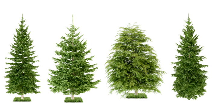 set of trees isolated on white