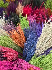 Dried rice flower for home decor, colorful dried flowers for decoration