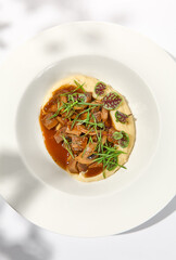 Elegant stew beef with mashed potatoes in  restaurant. Beef bourguignon on light background with shadows of leaves Braised black angus meat with potato cream in summer menu