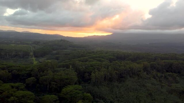 Dramatic aerial flyover revealing lush green rainforest, rivers, mountains and streams during sunset with yellow clouds. Epic cinematic nature aerial view of  Rainforest Tropical jungle of Kauai.
