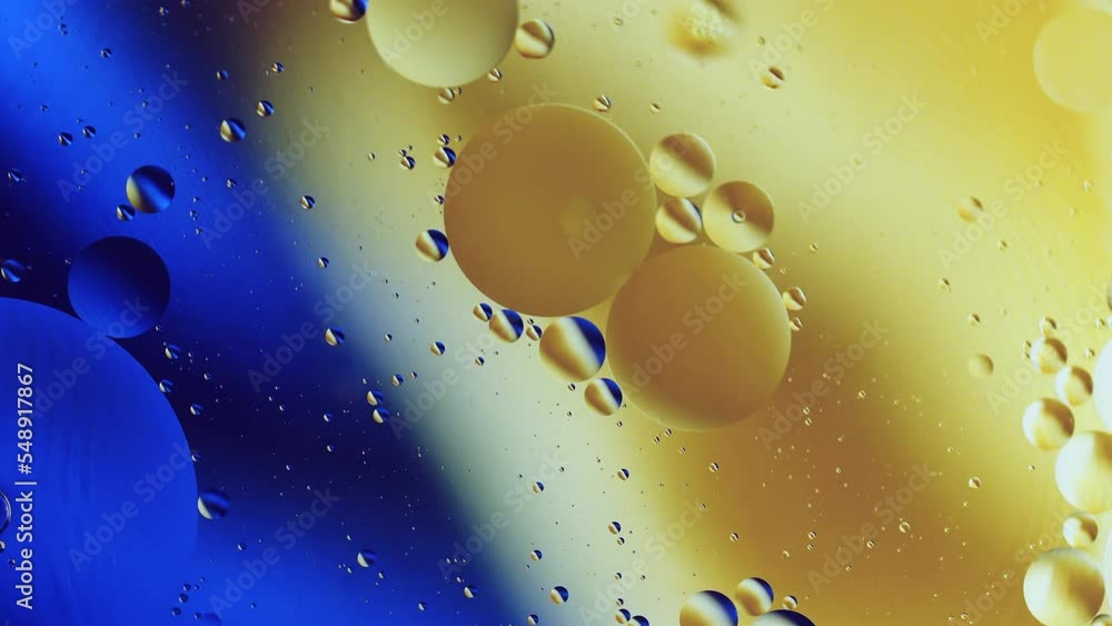 Poster real close up oil bubbles in water rotation with color gradient abstract mixing background.