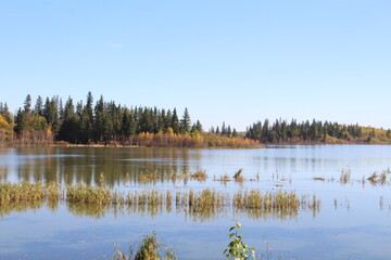 Fototapeta premium lake in autumn