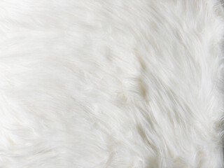 Fototapeta na wymiar Smooth white fur texture for background