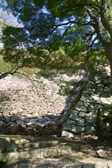 三階櫓跡・石垣・鳥取城跡（鳥取県・鳥取市）