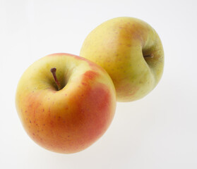 林檎　明月　　スタジオ撮影
