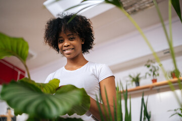 Low-angle view of positive African American young woman carefully wiping dust with soft cloth from leaves of green plants at home, smiling looking at camera. Concept of gardening, hobby, home garden.